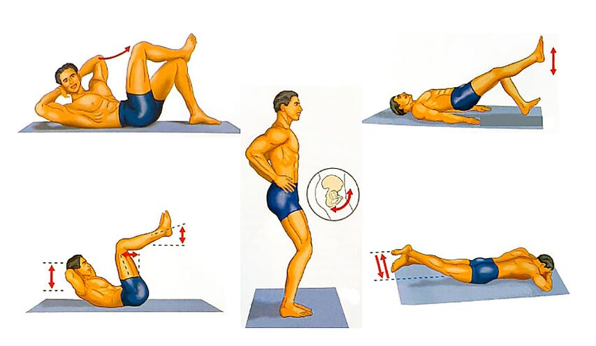 The penis increases exercises